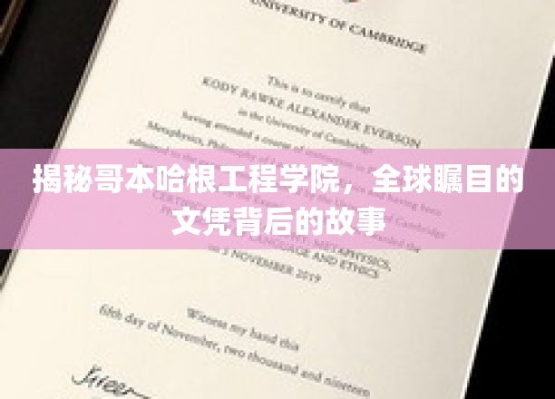 揭秘哥本哈根工程学院，全球瞩目的文凭背后的故事