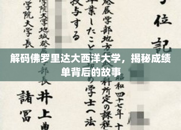 解码佛罗里达大西洋大学，揭秘成绩单背后的故事