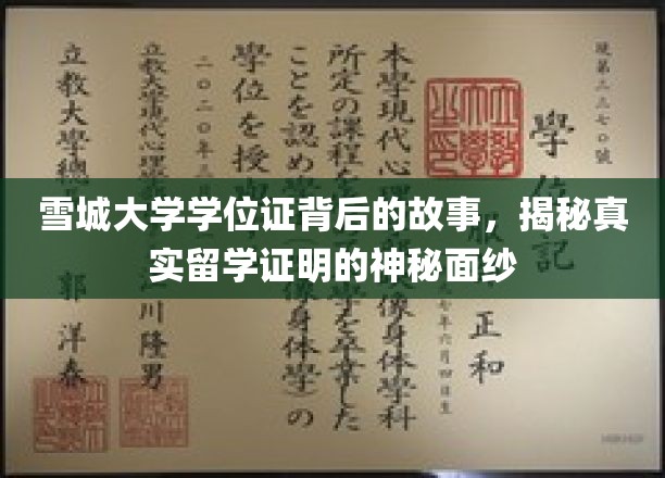 雪城大学学位证背后的故事，揭秘真实留学证明的神秘面纱
