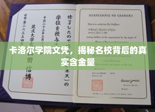 卡洛尔学院文凭价值揭秘，名校光环下的真实实力解析