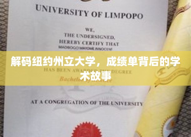 纽约州立大学揭秘，揭开成绩单背后的学术奥秘