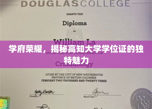 学位荣耀之光，探寻高知学府证书的独特风采
