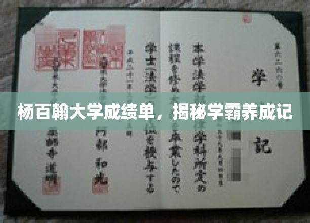 杨百翰学霸养成记，揭秘顶尖学府的秘密成绩单
