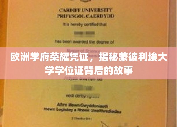 欧洲学府荣耀凭证，揭秘蒙彼利埃大学学位证背后的故事