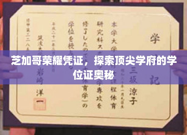 芝加哥荣耀凭证，揭秘顶尖学府的学位证奥秘