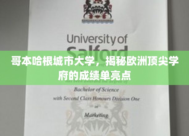 哥本哈根城市大学，揭秘欧洲顶尖学府的成绩单亮点