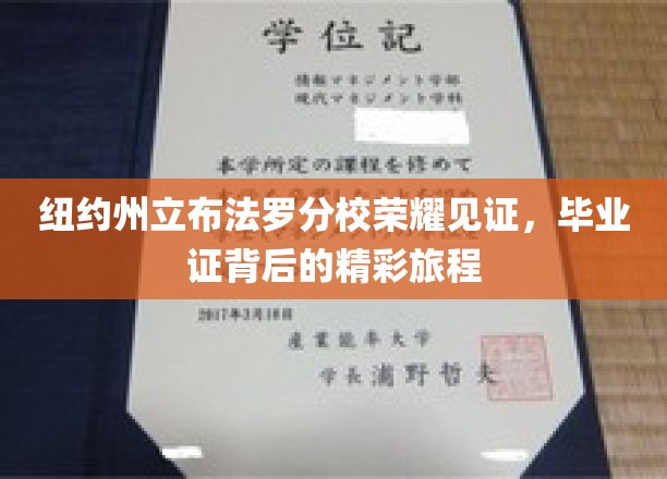 布法罗分校荣耀绽放，毕业证背后的成长传奇之旅