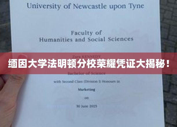 缅因大学法明顿分校，揭秘荣耀凭证背后的神秘面纱
