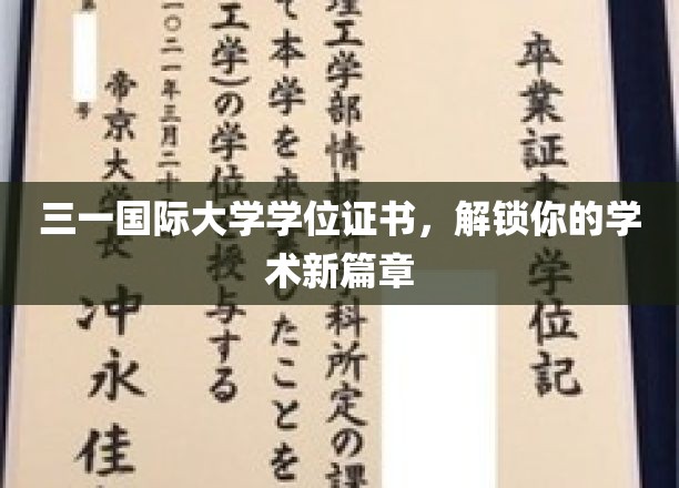 开启学术新里程，三一国际大学学位证书，成就非凡未来