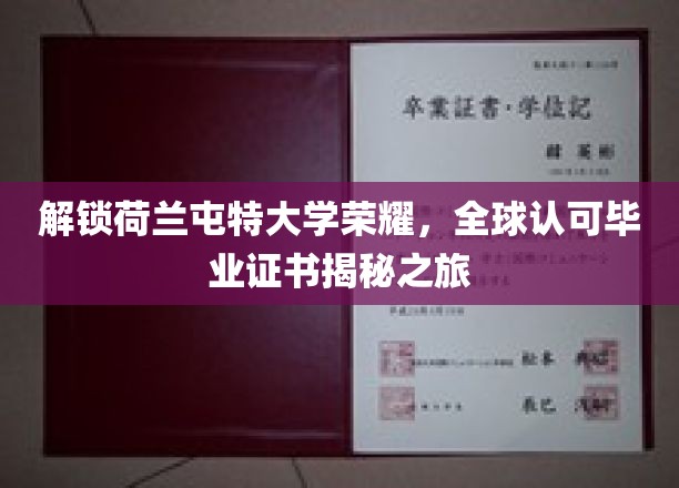 荷兰屯特大学成就揭秘，全球通行毕业证书背后的传奇之路