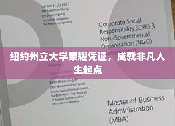 纽约州立大学荣耀通行证，开启非凡人生新篇章