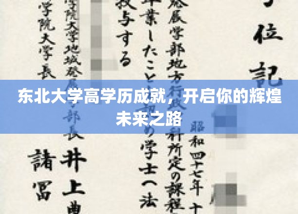 东北大学高学历精英养成记，迈向璀璨人生新篇章