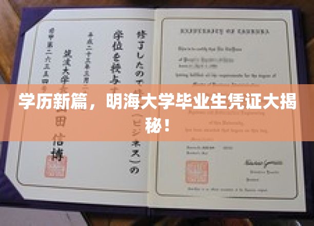 解码未来精英，明海大学毕业生神秘凭证大揭秘！