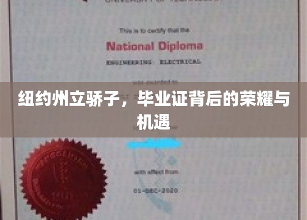 纽约州立骄子，毕业证背后的荣耀与机遇