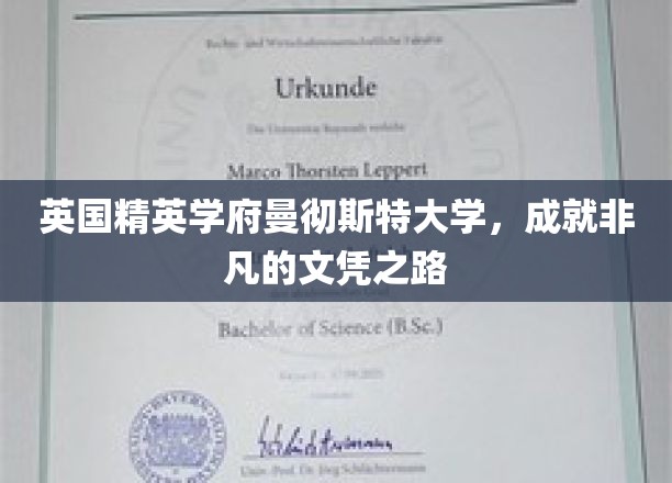 曼大卓越之旅，探寻世界顶级学府的辉煌文凭奥秘