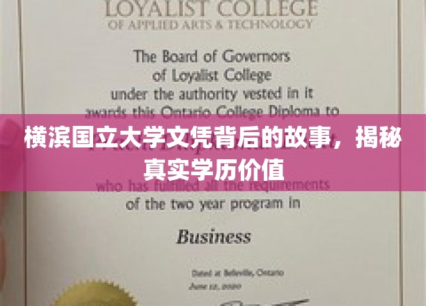 横滨国立大学文凭背后的故事，揭秘真实学历价值