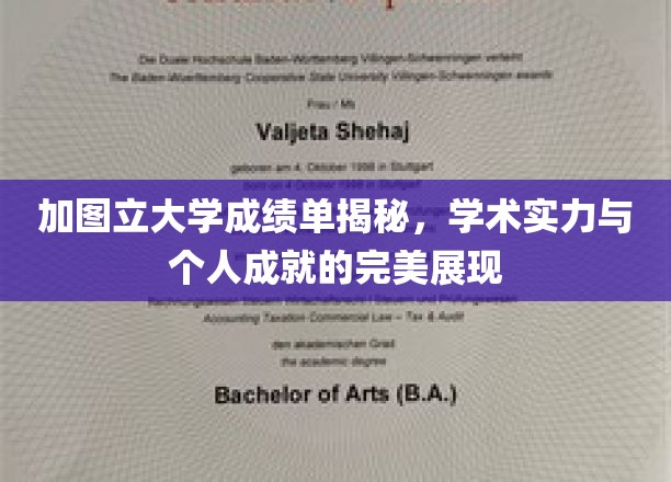 解锁加图立大学成绩单，探秘学术成就与个人荣耀的璀璨篇章
