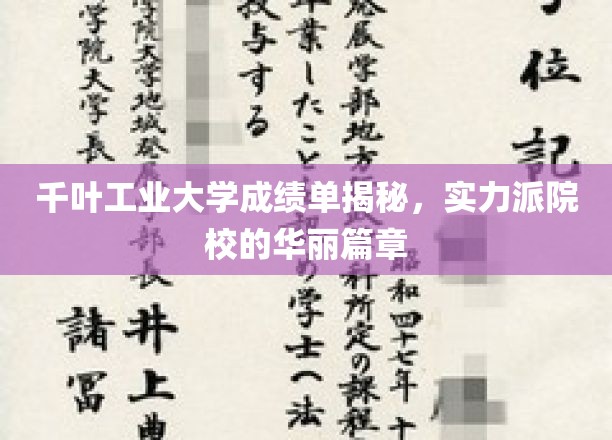 解码千叶工业大学，揭秘实力派院校的璀璨成绩单