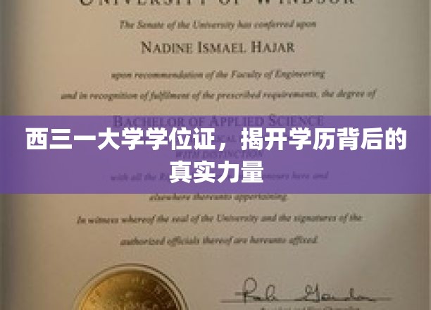 解码西三一学位证，探寻学历背后的深层价值