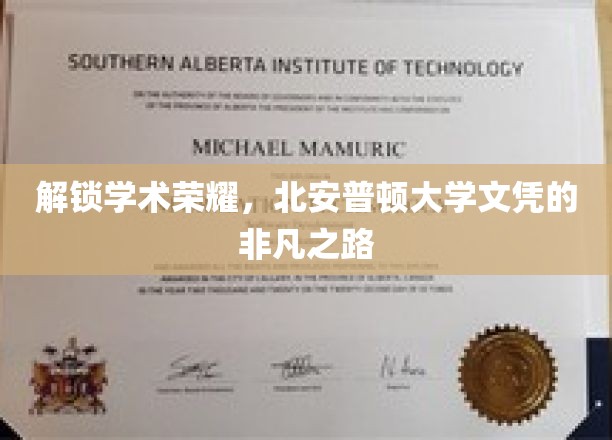 解锁学术荣耀，北安普顿大学文凭的非凡之路