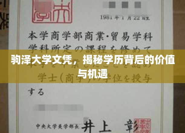 驹泽大学文凭，探寻学历背后的无限价值与广阔机遇