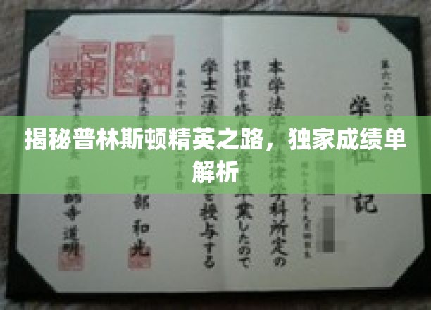 揭秘普林斯顿精英之路，独家成绩单解析