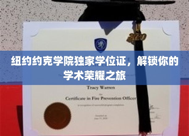 纽约约克学院尊享学位，开启你的学术巅峰之路
