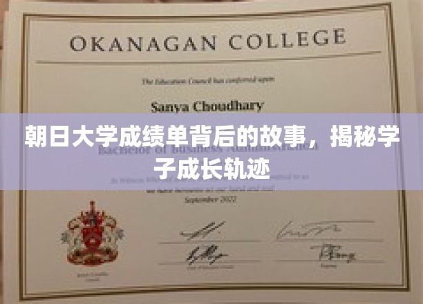 朝日大学成绩单背后的故事，揭示学子成长轨迹