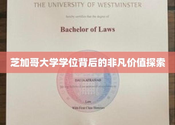 解码芝加哥大学学位，揭开精英教育的神秘面纱