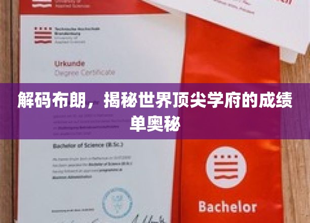 解码布朗，揭秘世界顶尖学府的成绩单奥秘