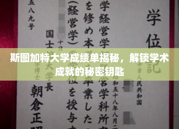 斯图加特大学成绩单背后的学术密码，揭秘成就背后的秘密通道
