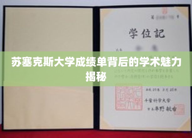 探索苏塞克斯大学成绩单中的隐藏学术风采