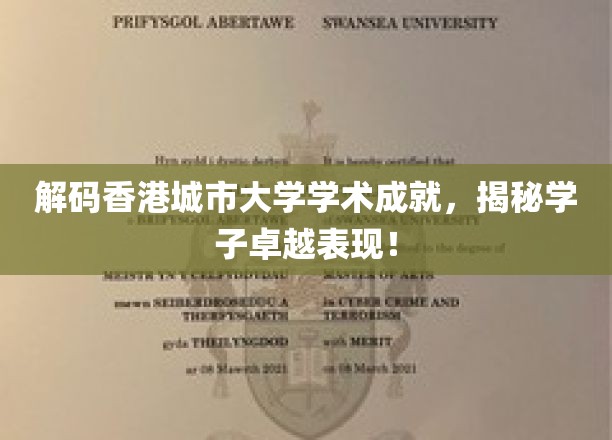 香港城大精英风采，揭秘学子卓越学术之旅
