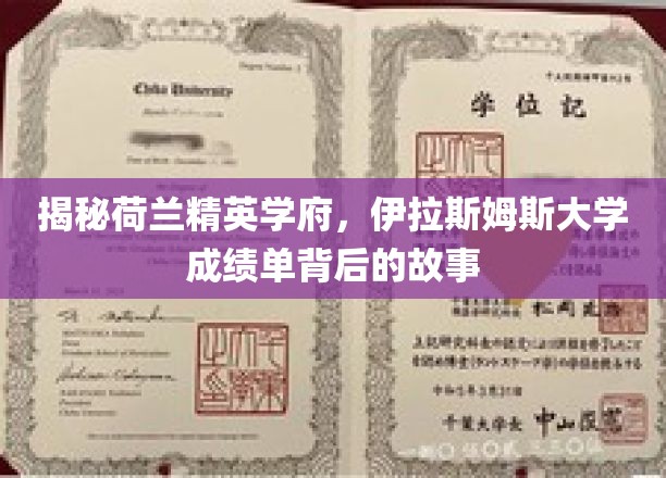 探索伊拉斯姆斯大学，揭秘精英学府的秘密档案