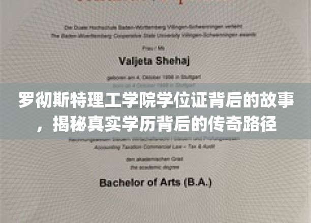 罗彻斯特理工学院学位证背后的故事，揭秘真实学历背后的传奇路径