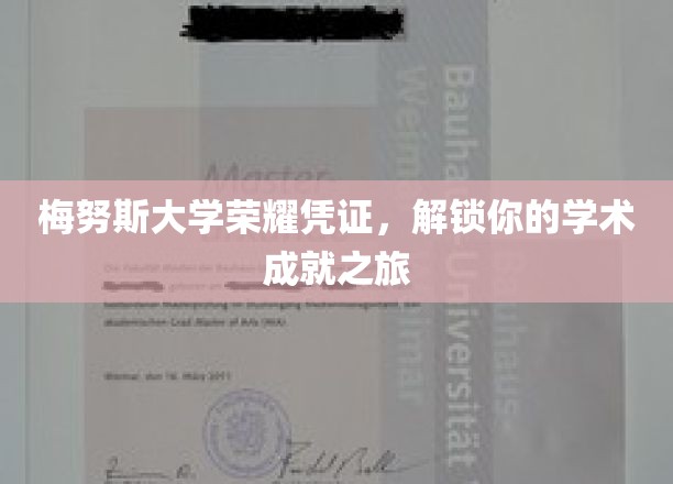 解锁荣耀，梅努斯大学成就之旅启航