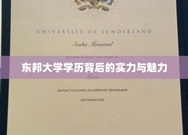 解码东邦，学历光环下的实力与风采