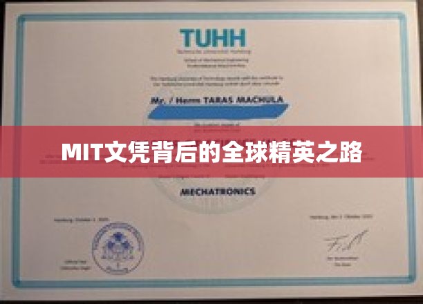 MIT精英养成记，揭秘全球顶尖学府的蜕变之旅