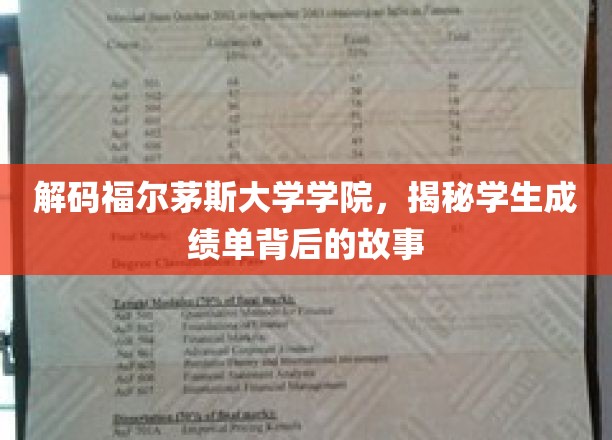 福尔茅斯学院成绩单，揭开学术成长的神秘面纱