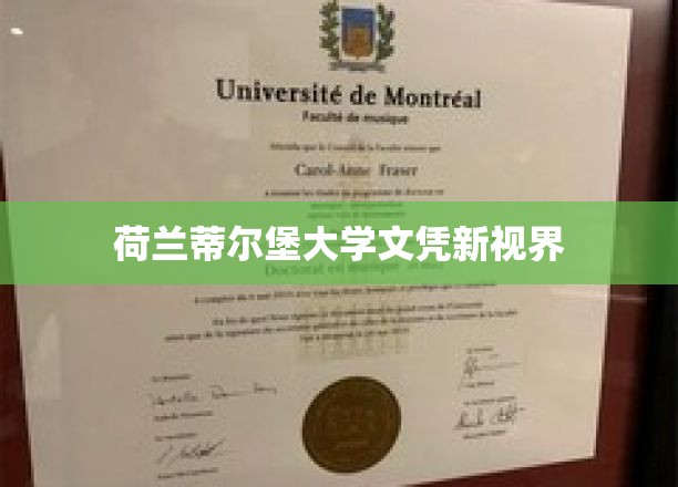 荷兰蒂尔堡大学文凭，开启全球视野新篇章