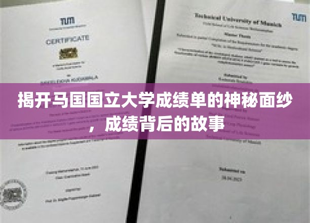 解码马国国立大学成绩单，探寻那些不为人知的学术传奇