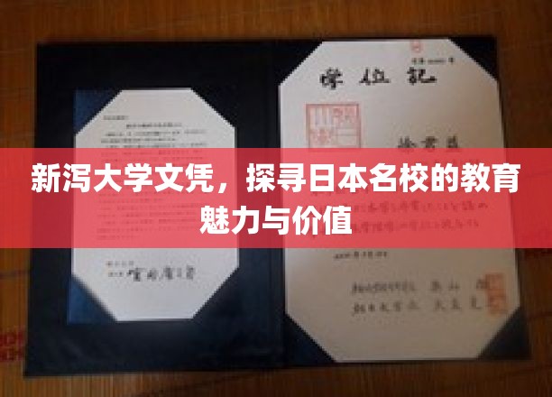 新泻大学文凭，探寻日本名校的教育魅力与价值