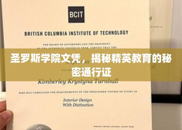 精英教育通行证，圣罗斯学院文凭背后的神秘力量