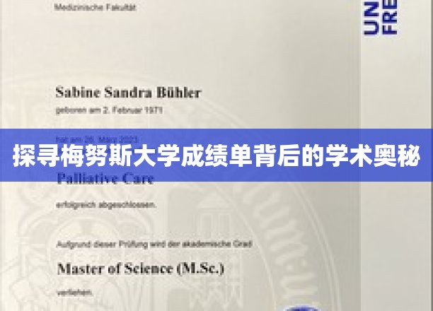 解码梅努斯大学成绩单，一窥学术成就的秘密世界