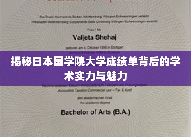 一探日本国学院大学成绩单背后的学术实力与独特魅力