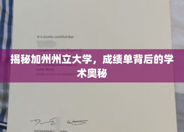 加州州立大学成绩单解码，探寻学术成就的秘密通道