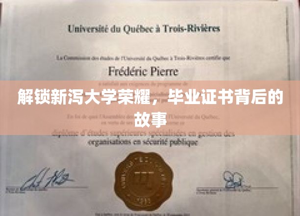 探寻新泻大学辉煌，一纸证书背后的传奇之旅
