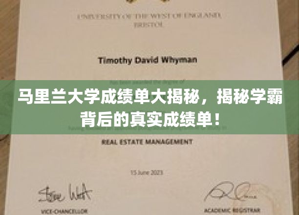 马里兰学霸真面目，成绩单背后的惊人真相曝光！