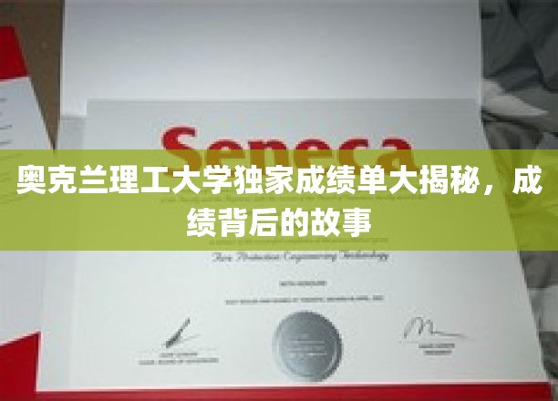 解码奥克兰理工学霸秘籍，独家成绩单背后的传奇故事