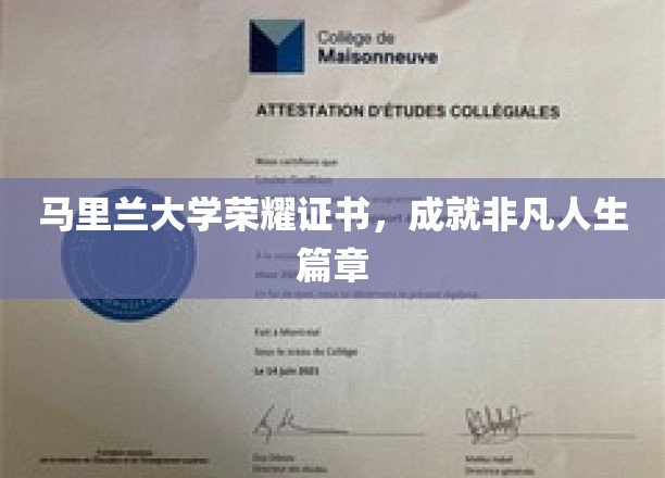 马里兰大学荣耀证书，谱写非凡人生新篇章